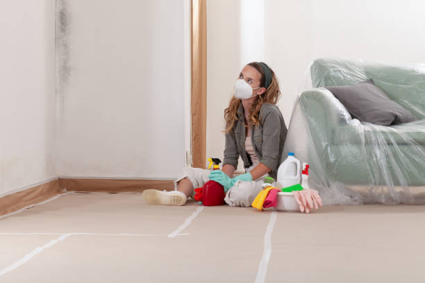 Reliable Mold Removal contractor in Goldsboro, MD by WQB Mold Removal